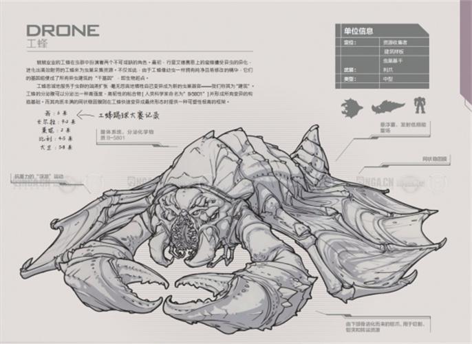 星际争霸2兵种图鉴大全图十
