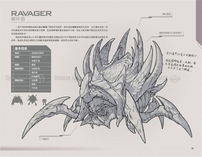 星际争霸2兵种图鉴大全图十九