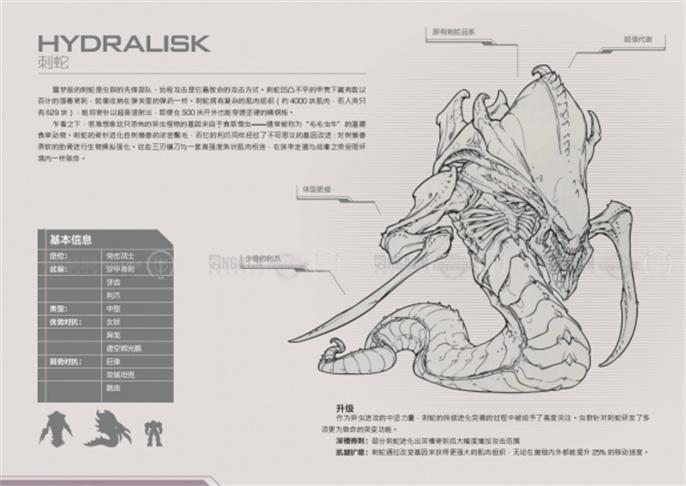 星际争霸2兵种图鉴大全图二