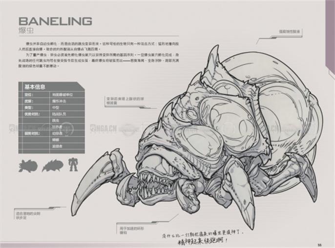 星际争霸2兵种图鉴大全图八