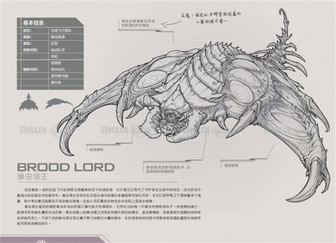 星际争霸2兵种图鉴大全图二十一