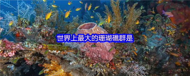 世界上*的珊瑚礁群是