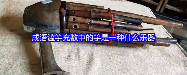 成语滥竽充数中的竽是一种什么乐器