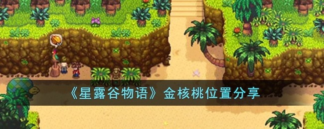 星露谷物语金核桃位置在哪儿-金核桃位置分享