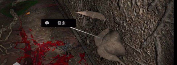 《孙美琪疑案：12》五级线索——怪虫