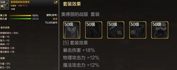 dnf手游50级史诗皮甲怎么选择图五