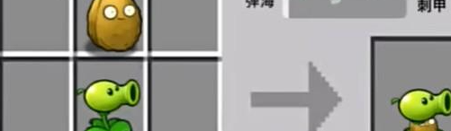 《植物大战僵尸嫁接版》游戏玩法介绍
