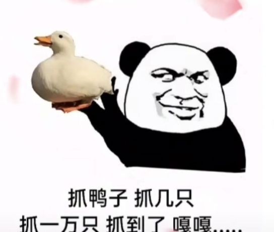 《抖音》最新抓鸭子表情包大全分享