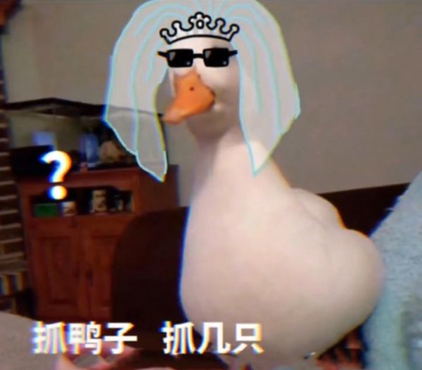 《抖音》最新抓鸭子表情包大全分享