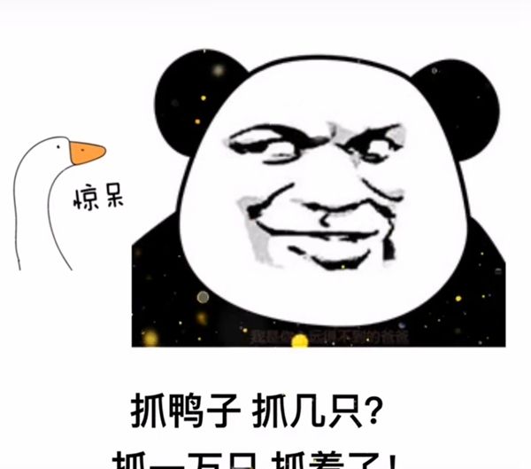 《抖音》最新抓鸭子表情包大全分享