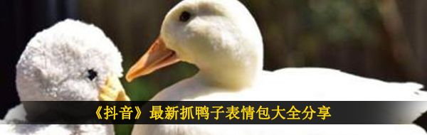 《抖音》最新抓鸭子表情包大全分享