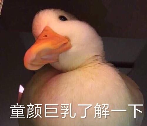 《抖音》最新抓鸭子表情包大全分享