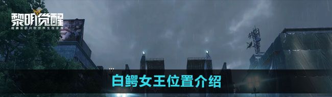 《黎明觉醒》白鳄女王位置介绍