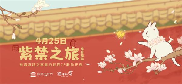 猫咪和汤入口在哪-猫咪和汤入口地址分享图一