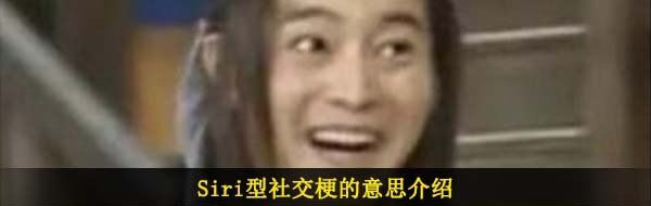Siri型社交梗的意思介绍