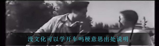 没文化可以学开车吗梗意思出处说明