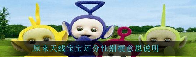 原来天线宝宝还分性别梗意思说明