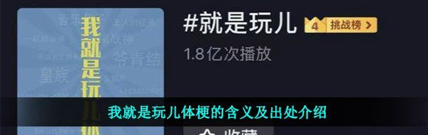 我就是玩儿体梗的含义及出处介绍