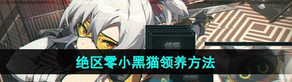 《绝区零》小黑猫领养方法