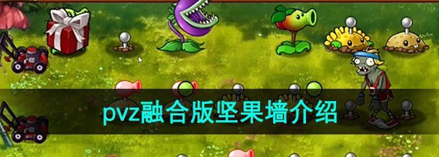 《植物大战僵尸融合版》坚果墙介绍