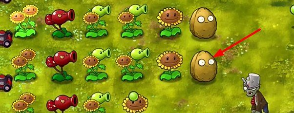 《植物大战僵尸融合版》坚果墙介绍
