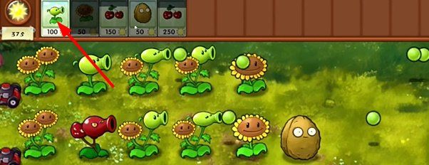 《植物大战僵尸融合版》坚果墙介绍