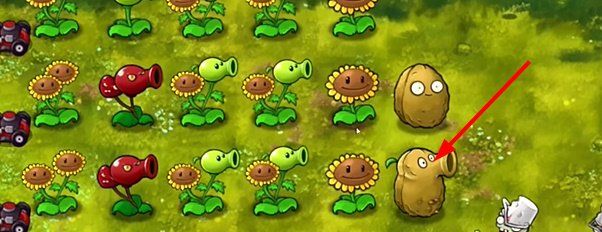 《植物大战僵尸融合版》坚果墙介绍