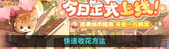 《我的休闲时光》快速收花方法