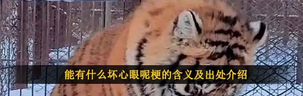 能有什么坏心眼呢梗的含义及出处介绍