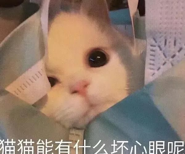 能有什么坏心眼呢梗的含义及出处介绍