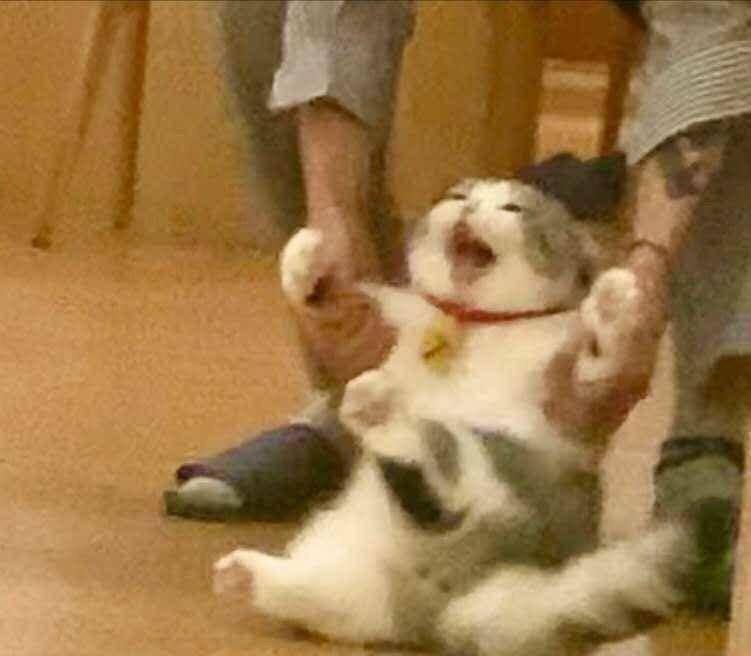 能有什么坏心眼呢梗的含义及出处介绍