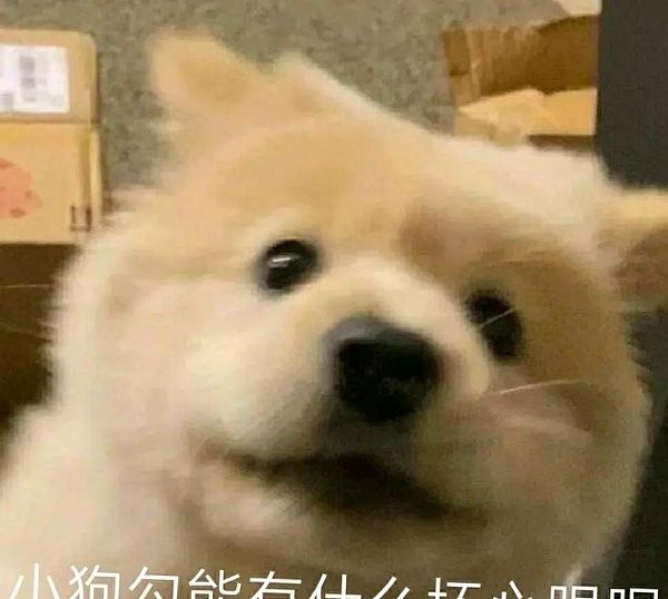 能有什么坏心眼呢梗的含义及出处介绍