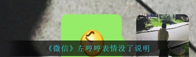《微信》左哼哼表情没了说明