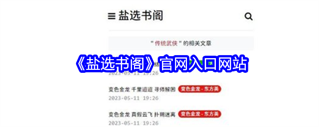 《盐选书阁》入口网站