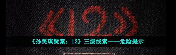 《孙美琪疑案：12》三级线索——危险提示
