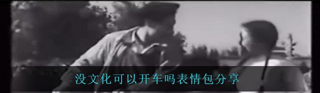 没文化可以开车吗表情包分享
