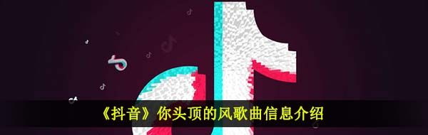 《抖音》你头顶的风歌曲信息介绍