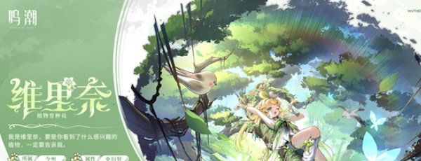 《鸣潮》长离配队推荐