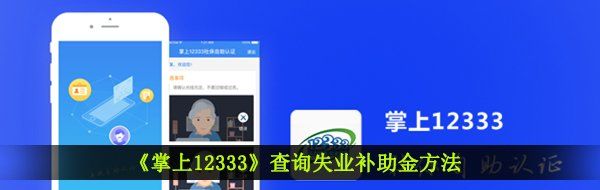 《掌上12333》查询失业补助金方法