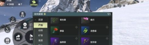 《妄想山海》龙骨草位置介绍