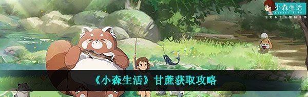 《小森生活》甘蔗获取攻略