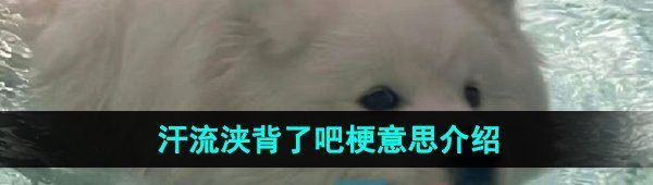 《抖音》汗流浃背了吧梗意思介绍
