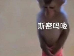 《抖音》汗流浃背了吧梗意思介绍