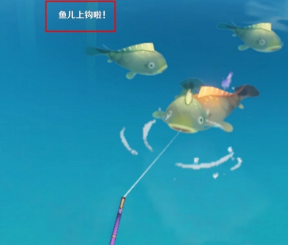 《原神》白金典藏型抓取方法