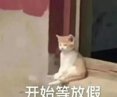 《抖音》开始等放假表情包分享