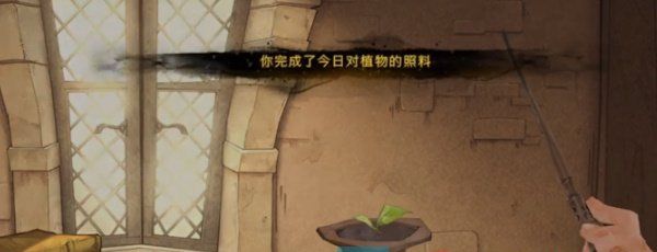 《哈利波特魔法觉醒》植物种植方法