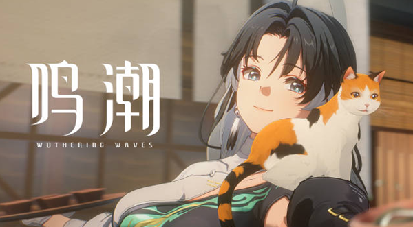 鸣潮鉴心声骸怎么选择