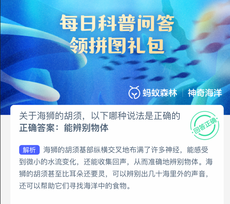 关于海狮的胡须，以下哪种说法是正确的
