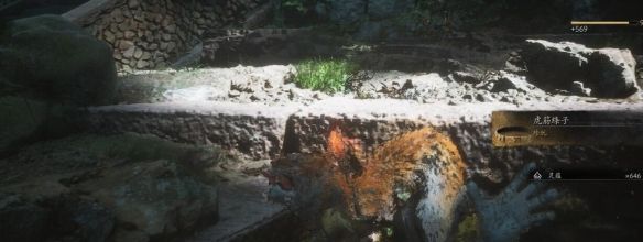 《黑神话悟空》虎筋绦子获取方法