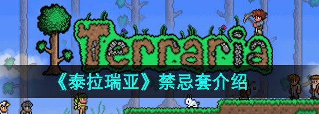 《泰拉瑞亚》禁忌套介绍